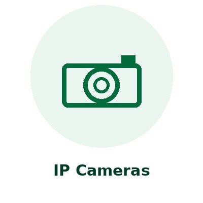 IP Cameras